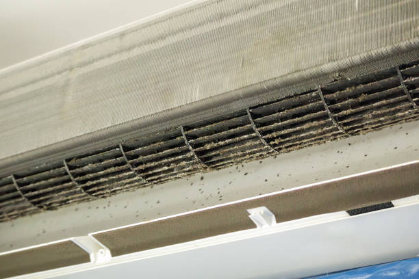 Best Home Air Vent Cleaning  in Spindale, NC